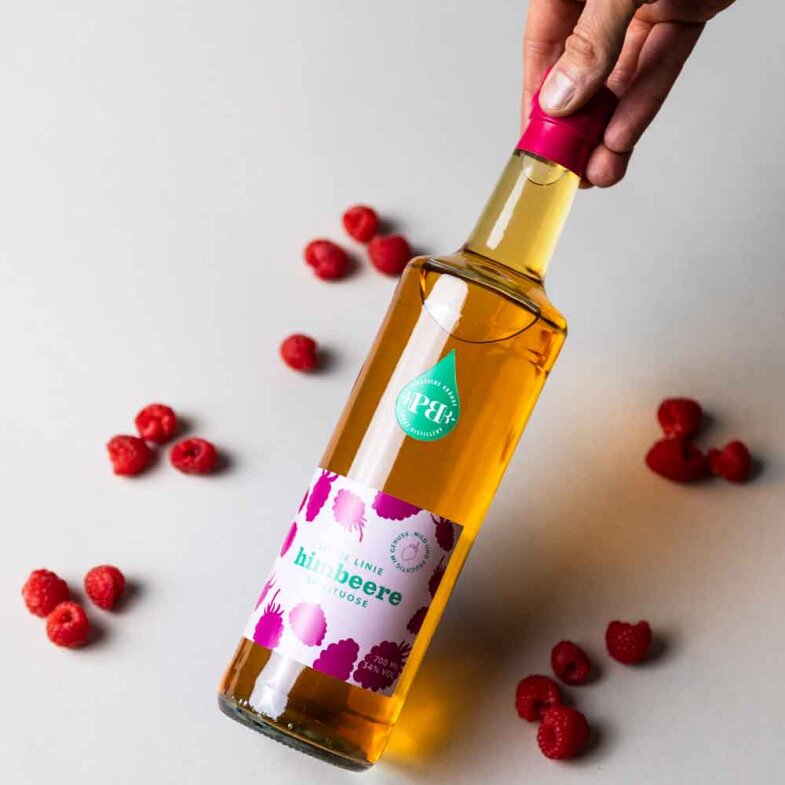 Junge Linie Himbeere